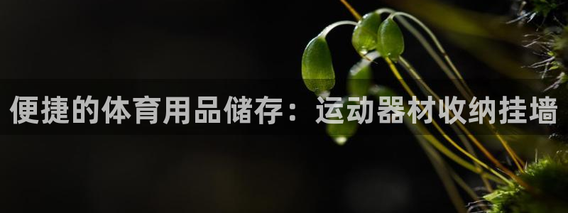 球王会体育官方正版app科技：便捷的体育用品储存：运