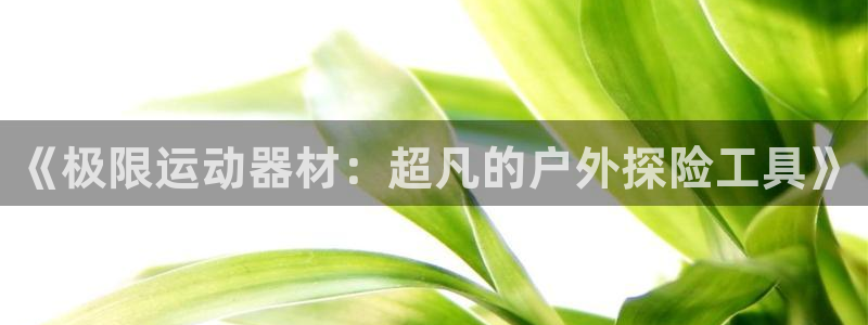 球王会体育官网下载招商电话