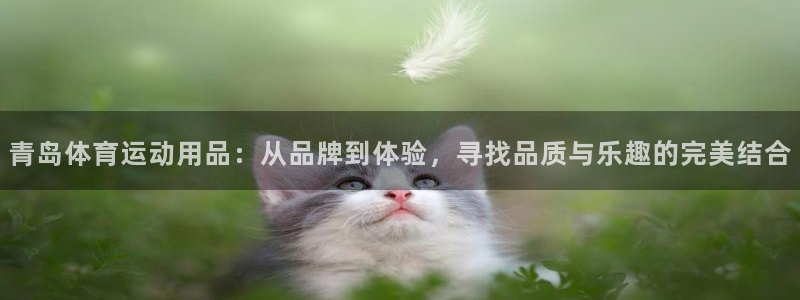 球王会体育官网下载招商电话是多少：青岛体育运动用品：从品牌到