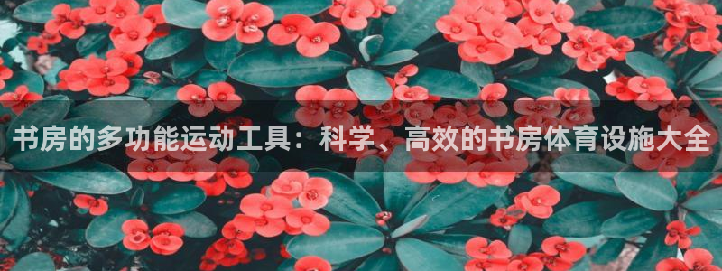 球王会体育官网下载招商电话地址是多少：书房的多功能运动工具：
