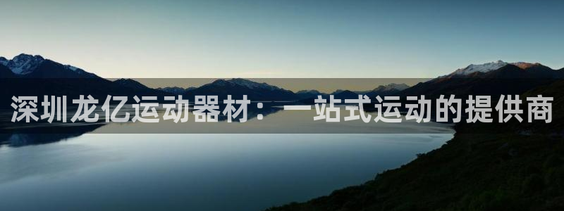 球王会体育官方正版app集团logo