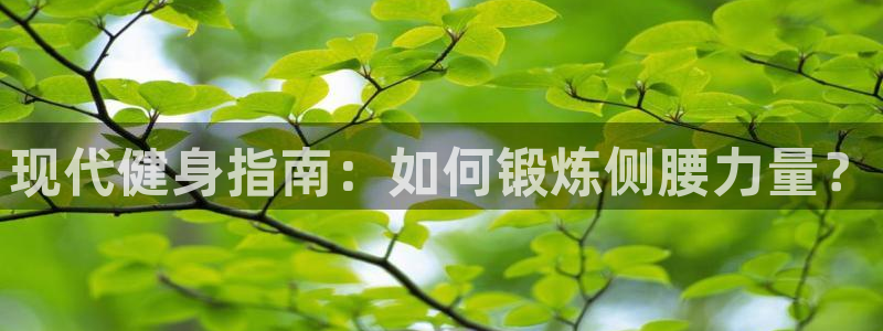 球王会体育官方正版app娱乐是那个系列的台子：现代健身指南：